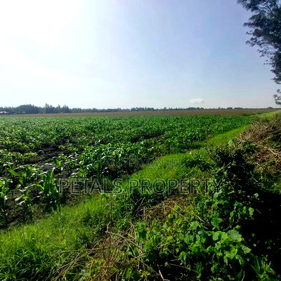 50 Acres for Sale in Kabarak Nakuru - Image 4