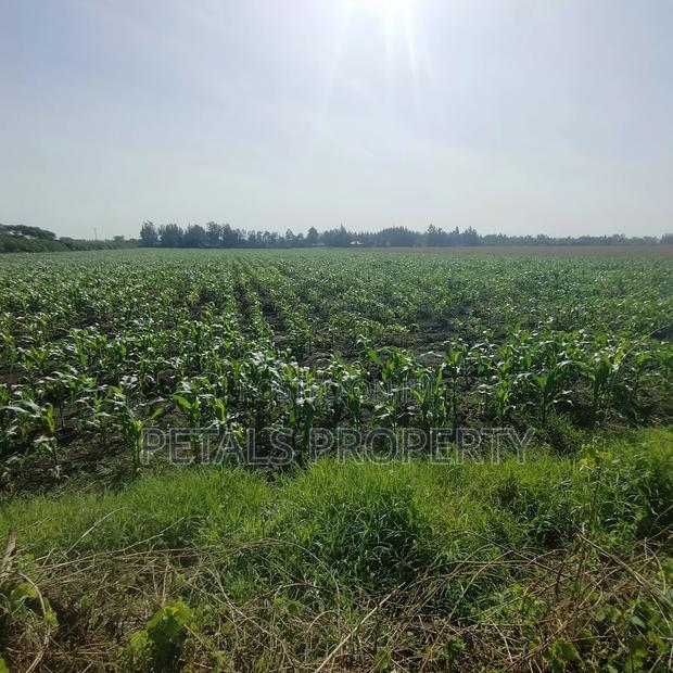 50 Acres for Sale in Kabarak Nakuru