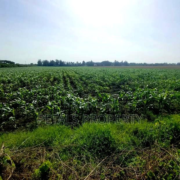 50 Acres for Sale in Kabarak Nakuru