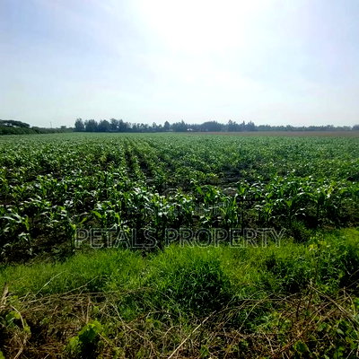 50 Acres for Sale in Kabarak Nakuru - Image 2