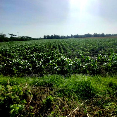 50 Acres for Sale in Kabarak Nakuru - Image 1