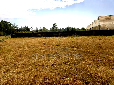 Quarter Acre Kerarapon - Image 4