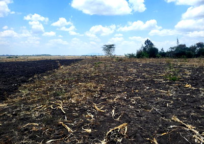 Quarter Acre Ndovoini Plot at KSh 1.1M