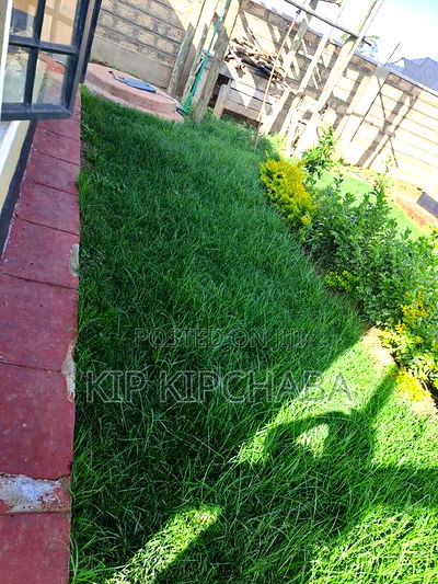 5bdrm Bungalow in Illula for sale - Image 13