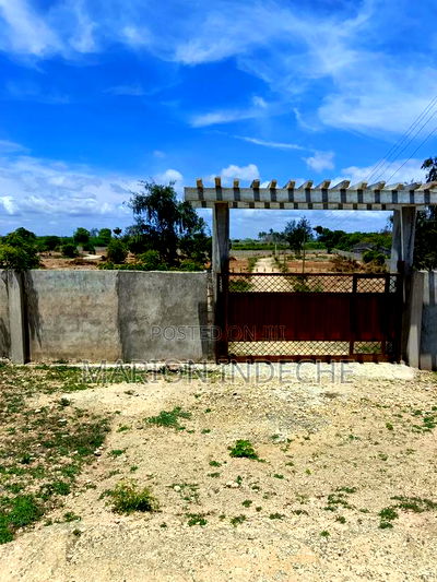 2nd Row From Bofa Beach - Image 4