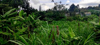 Prime Residential Plot In Kamangu, Kikuyu Area - Image 11
