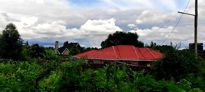 Prime Residential Plot In Kamangu, Kikuyu Area - Image 7