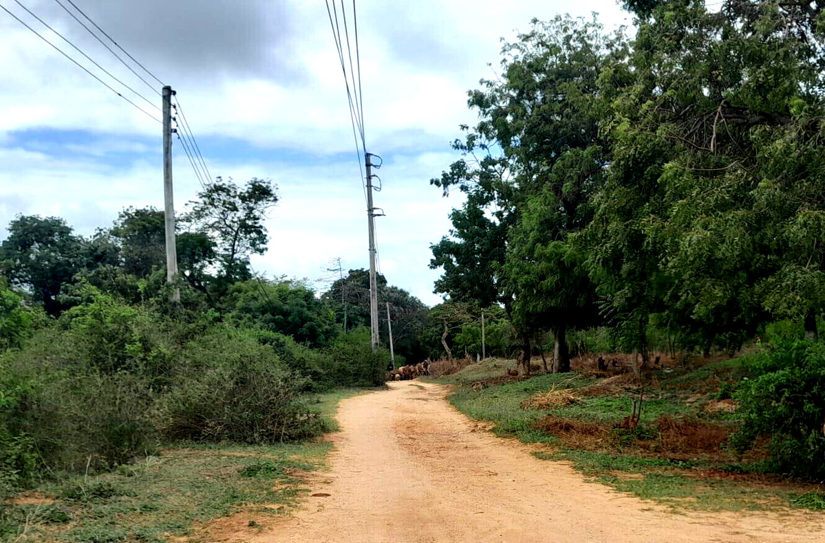 1 Acre Plot in Shanzu for KSh 12.5M