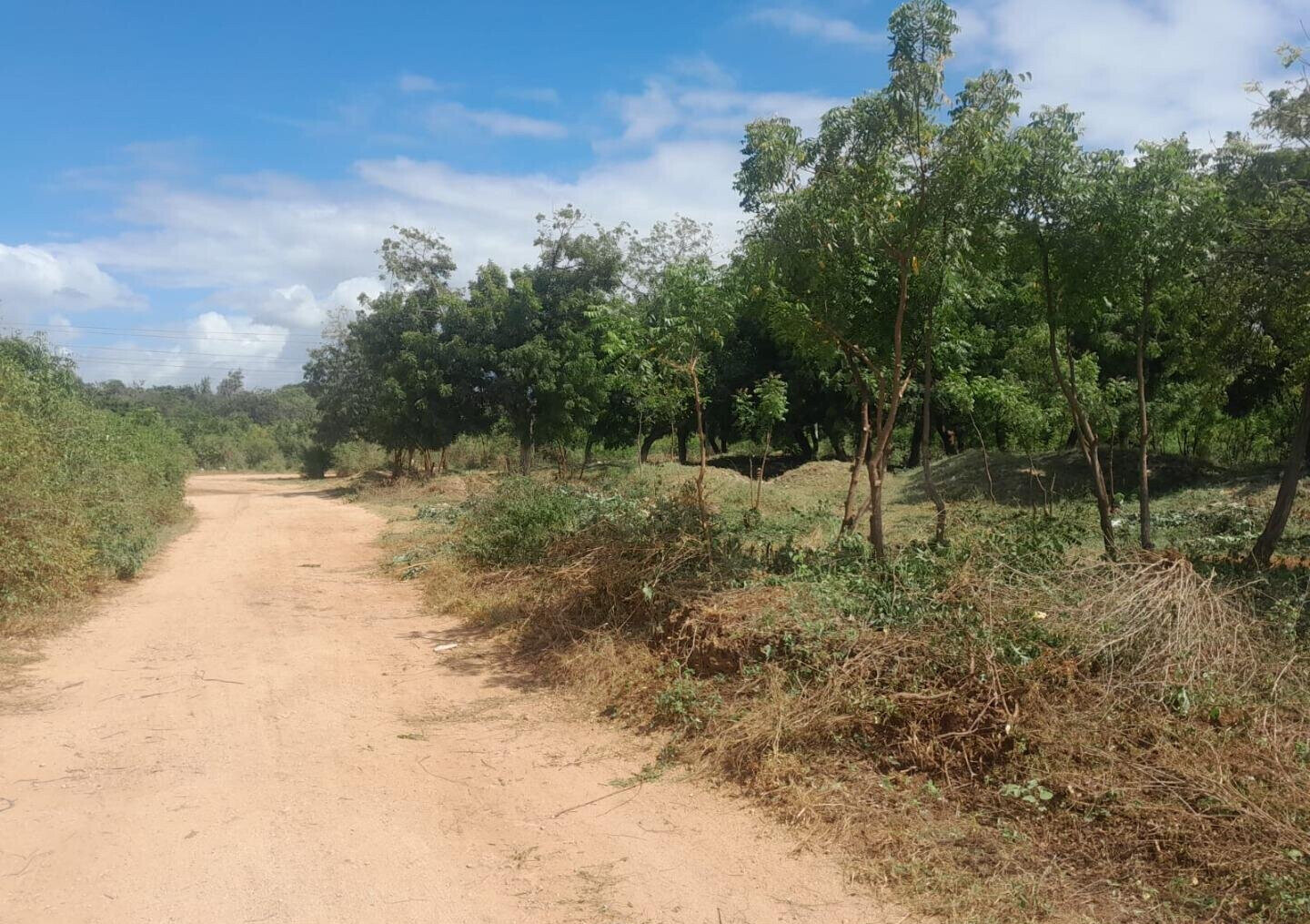 1 Acre Plot in Shanzu for KSh 12.5M