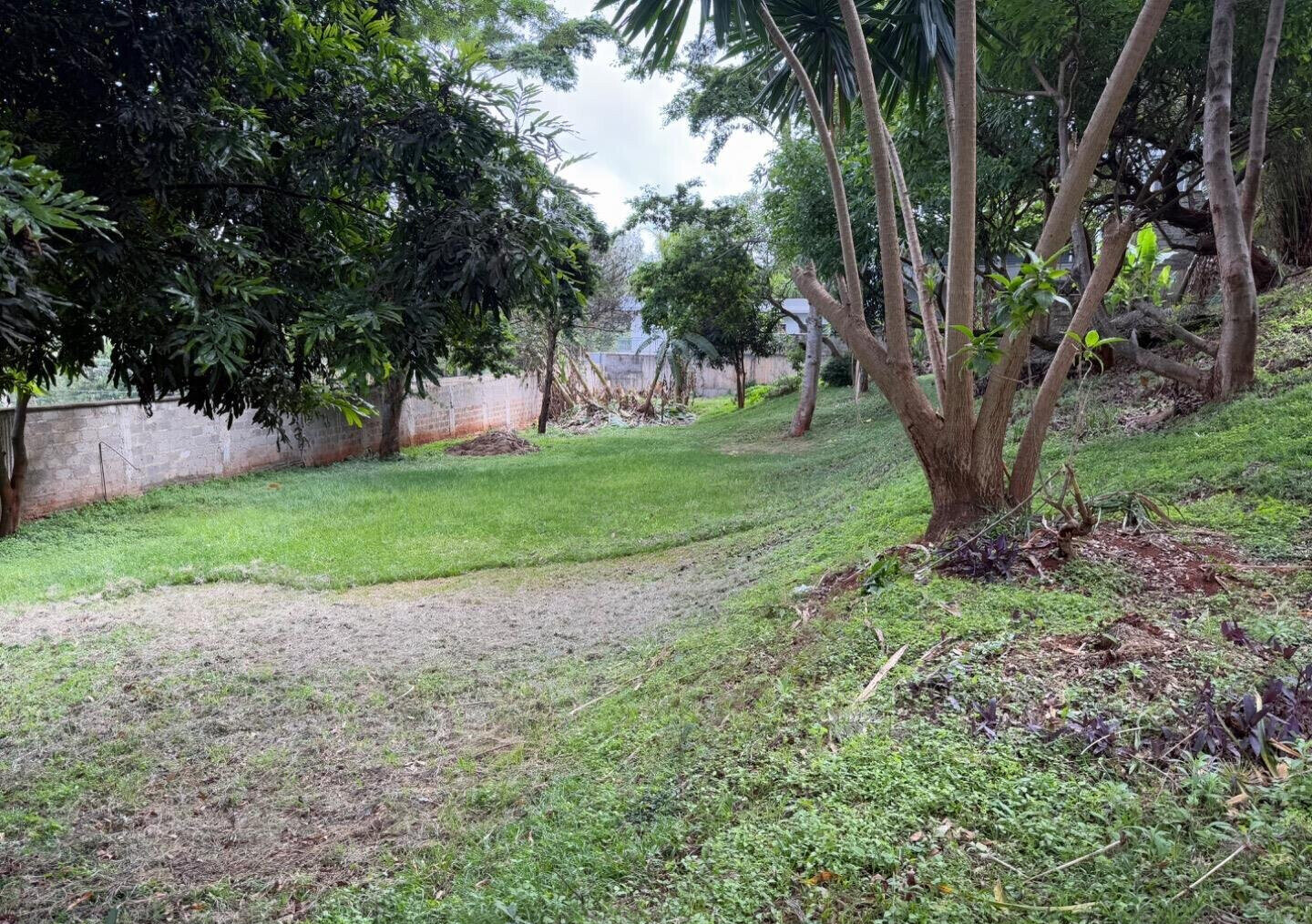 Garden Plot with Parking for KSh 100M