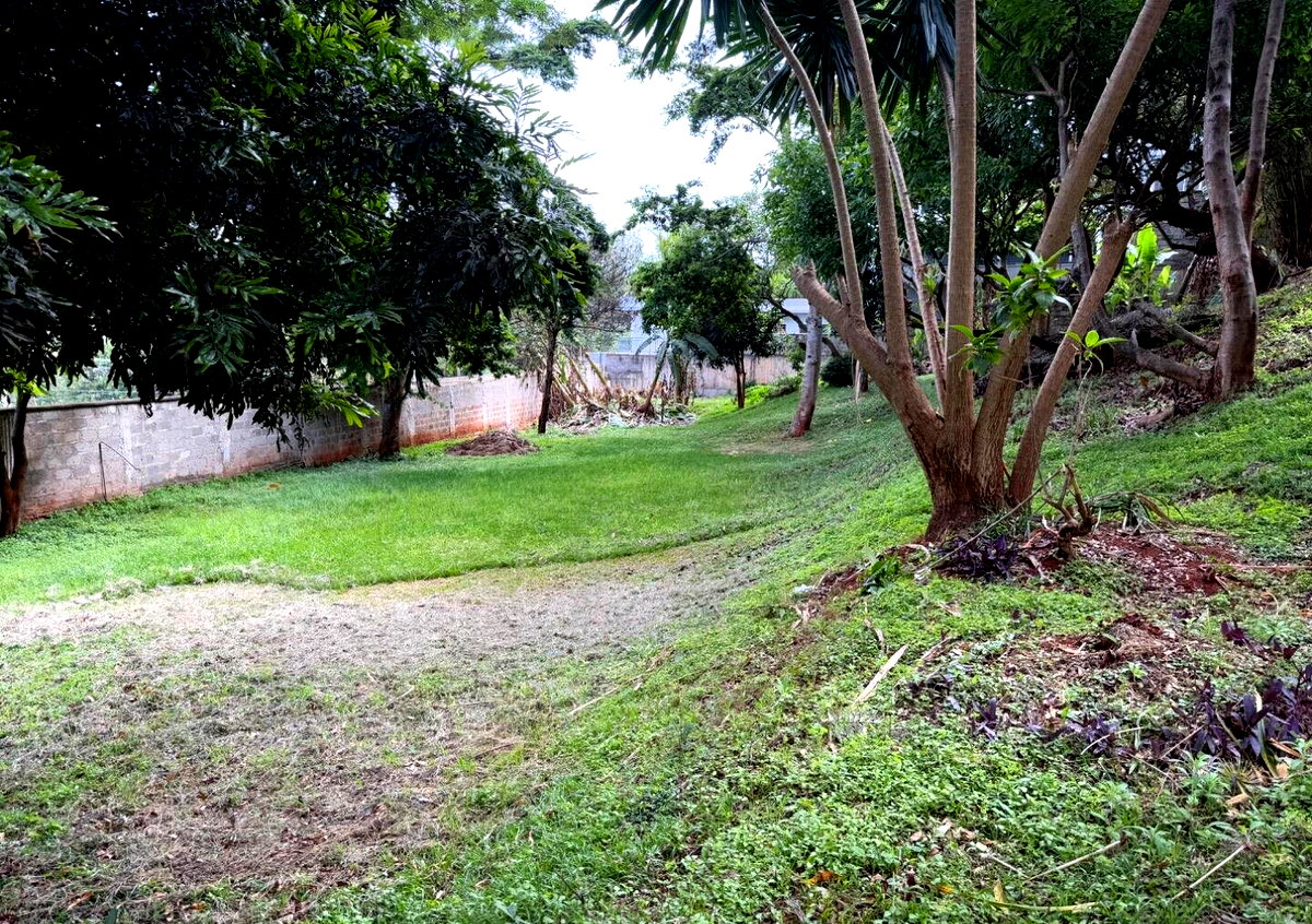 Garden Plot with Parking for KSh 100M