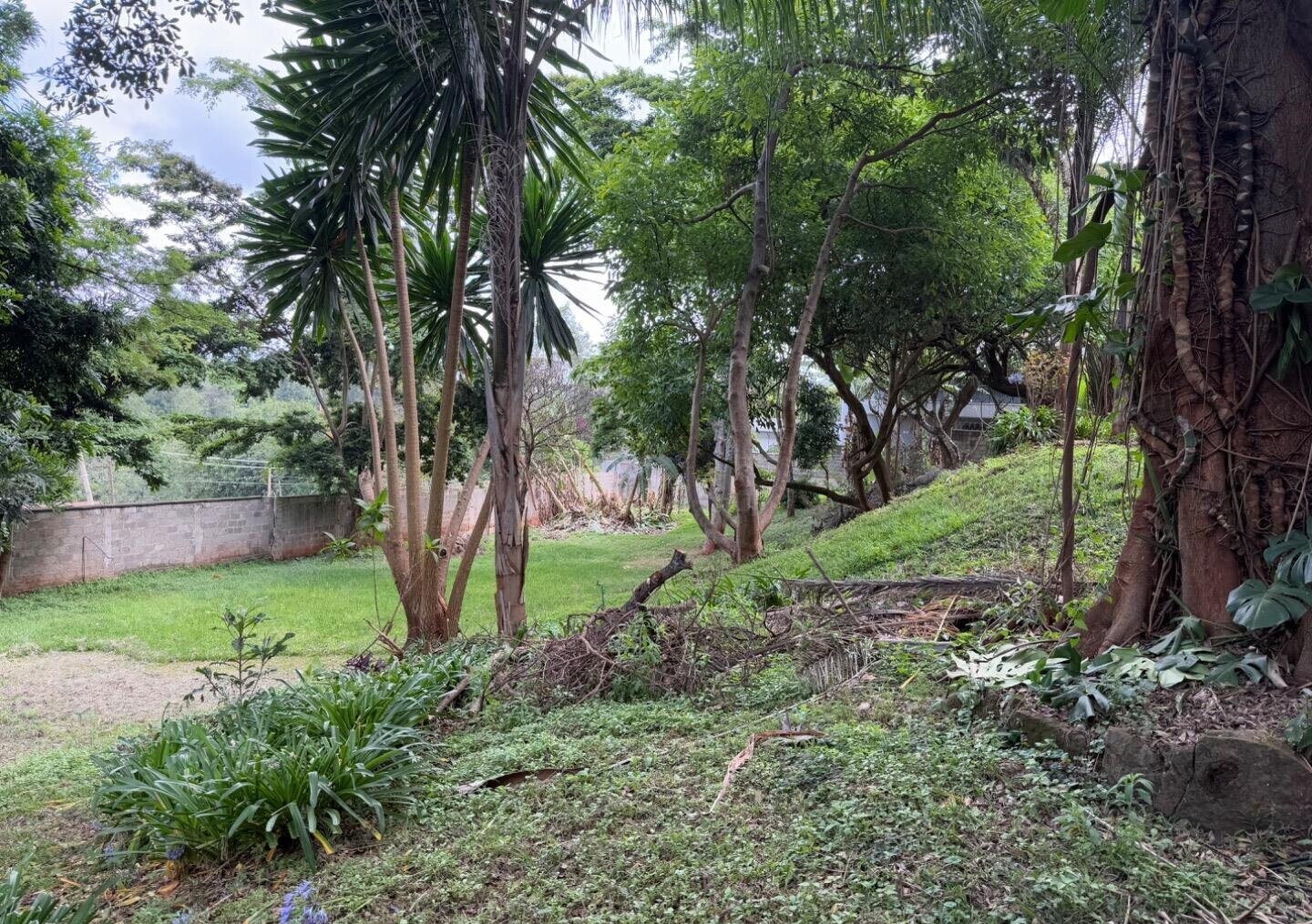 Garden Plot with Parking for KSh 100M