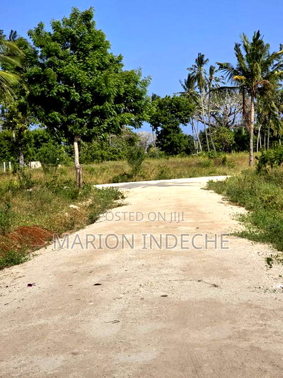 Prime Plots for Sale in Chumani (1/8th Acre) - Image 3