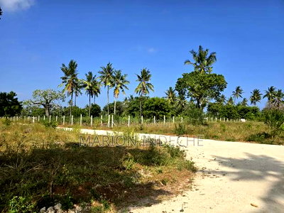 Prime Plots for Sale in Chumani (1/8th Acre) - Image 4