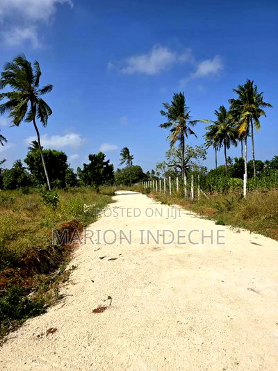 Prime Plots for Sale in Chumani (1/8th Acre) - Image 6