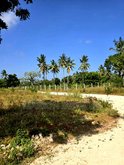 Prime Plots for Sale in Chumani (1/8th Acre) - Image 1