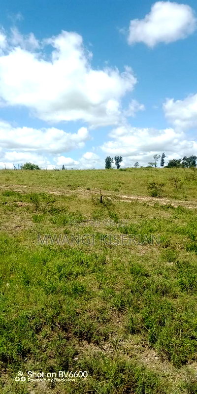 2 Acres on Top of the Mountain - Image 2