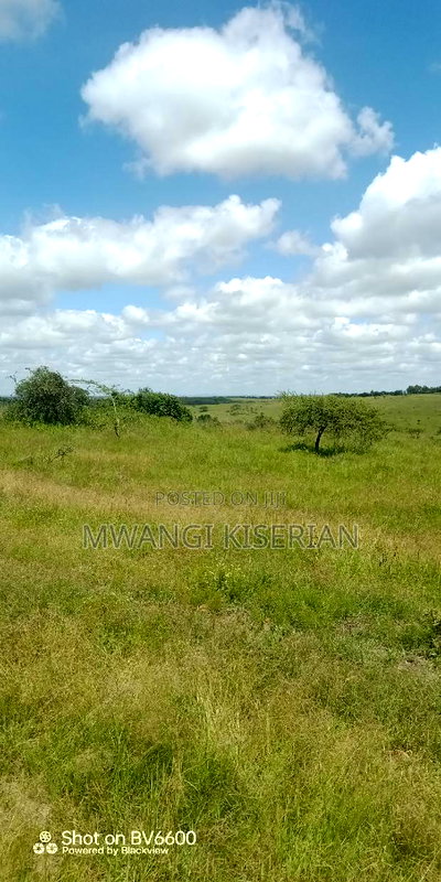 2 Acres on Top of the Mountain - Image 14