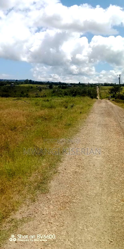 2 Acres on Top of the Mountain - Image 19