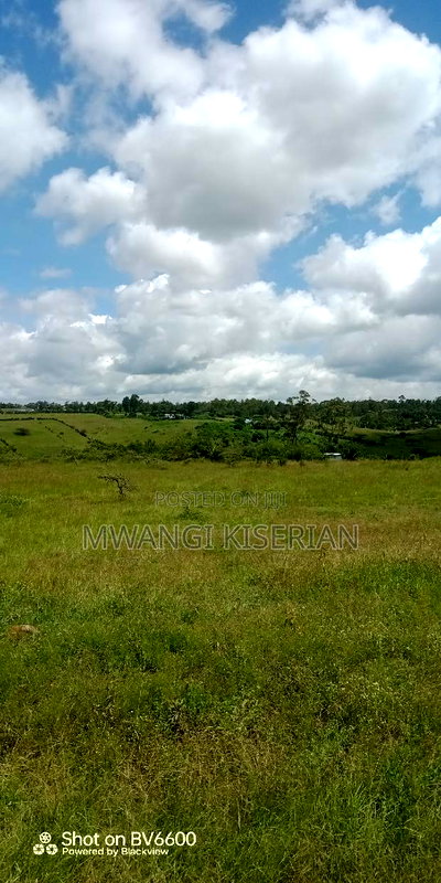 2 Acres on Top of the Mountain - Image 16