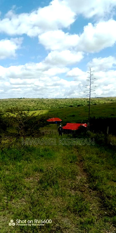 2 Acres on Top of the Mountain - Image 4