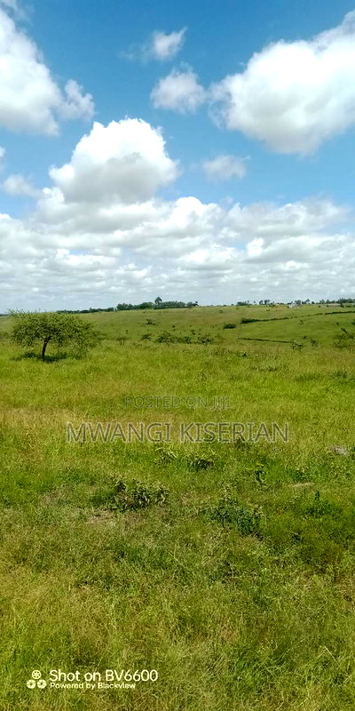 2 Acres on Top of the Mountain - Image 15