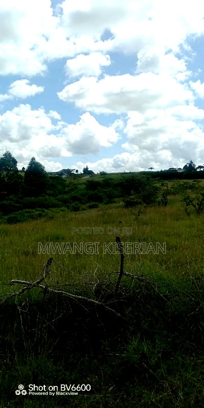 2 Acres on Top of the Mountain - Image 5