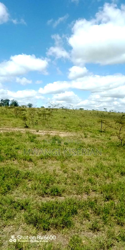 2 Acres on Top of the Mountain - Image 3