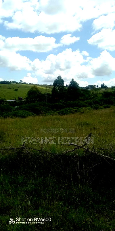 2 Acres on Top of the Mountain - Image 6