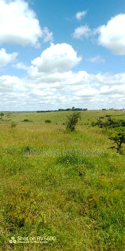 2 Acres on Top of the Mountain - Image 11