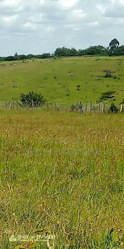 2 Acres on Top of the Mountain - Image 9