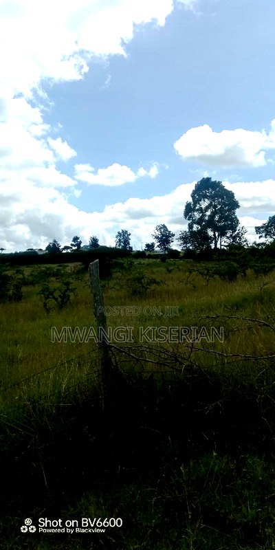 2 Acres on Top of the Mountain - Image 7