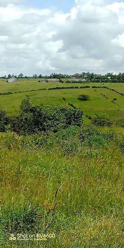 2 Acres on Top of the Mountain - Image 10