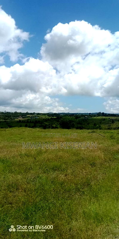 2 Acres on Top of the Mountain - Image 18