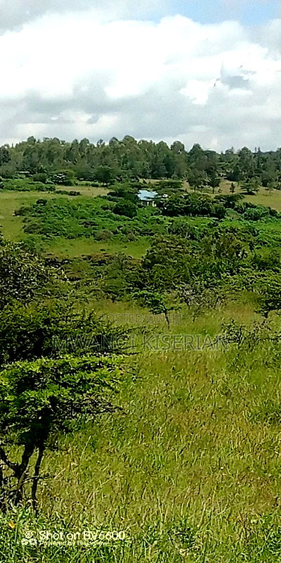 2 Acres on Top of the Mountain - Image 8