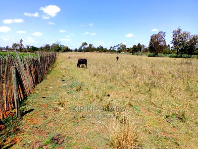 3 Acres Land for Sale Kuinet Centre Ziwa Eldoret - Image 3