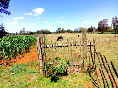 3 Acres Land for Sale Kuinet Centre Ziwa Eldoret - Image 4