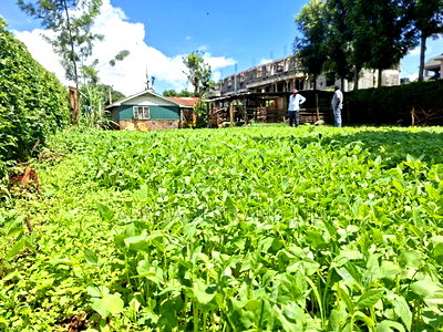 50x100 Available Plot for Sale in Gathiga Kabete - Image 6