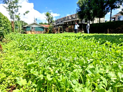 50x100 Available Plot for Sale in Gathiga Kabete - Image 4