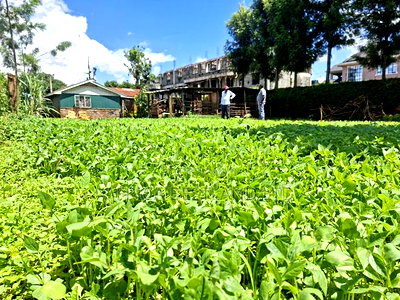 50x100 Available Plot for Sale in Gathiga Kabete - Image 3