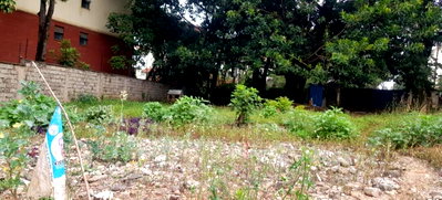 1 Acre Kilimani Plot for KSh 300M
