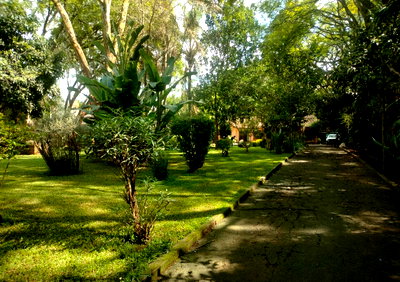 0.8-Acre Lavington Plot with Garden