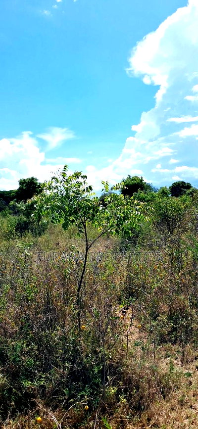 For Sale One Eighth Plots Kilifi Munarani - Image 2