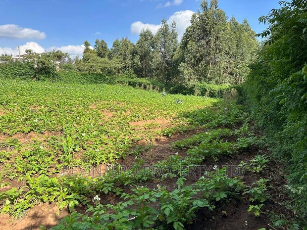 Prime Residential Plot For Sale In Kikuyu, Kamang