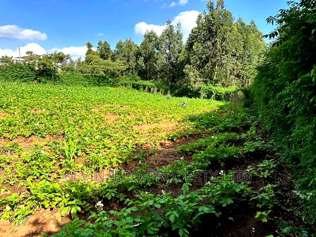 Prime Residential Plot For Sale In Kikuyu, Kamang