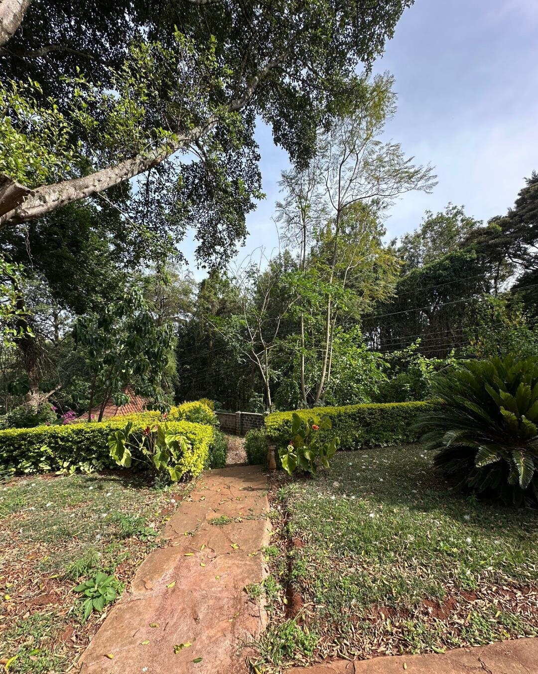 1-Acre Family Home - Karen C
