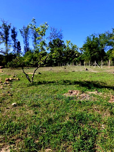 Prime 50*100ft Plots for Sale in Mtwapa - Image 11