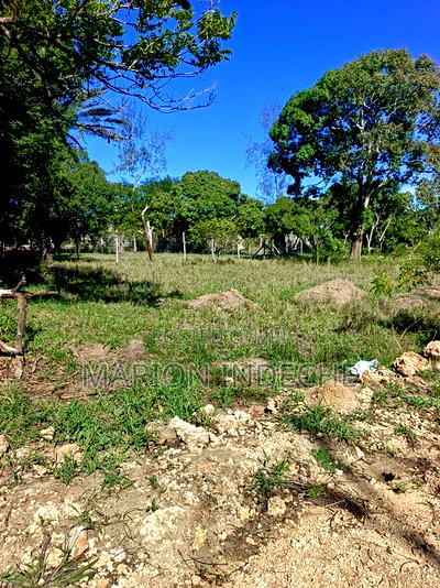 Prime 50*100ft Plots for Sale in Mtwapa - Image 5