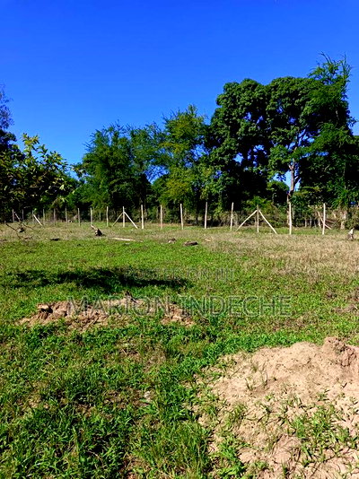 Prime 50*100ft Plots for Sale in Mtwapa - Image 14