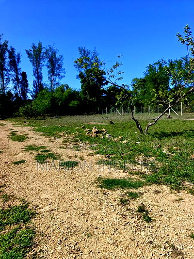 Prime 50*100ft Plots for Sale in Mtwapa - Image 15